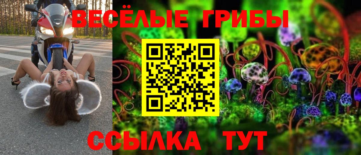 Братск  Галлюциногенные грибы прущие грибы  Вход с VPN 